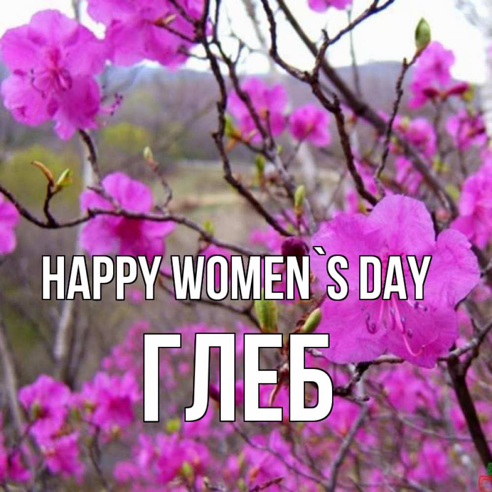 Greetings card с именем, Глеб happy women`s day международный женский день Greetings with text for free download 